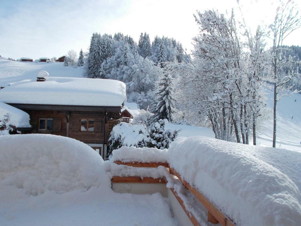 Chalet Jonquille Les Gets Kültér fotó