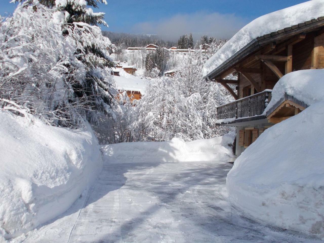 Chalet Jonquille Les Gets Kültér fotó