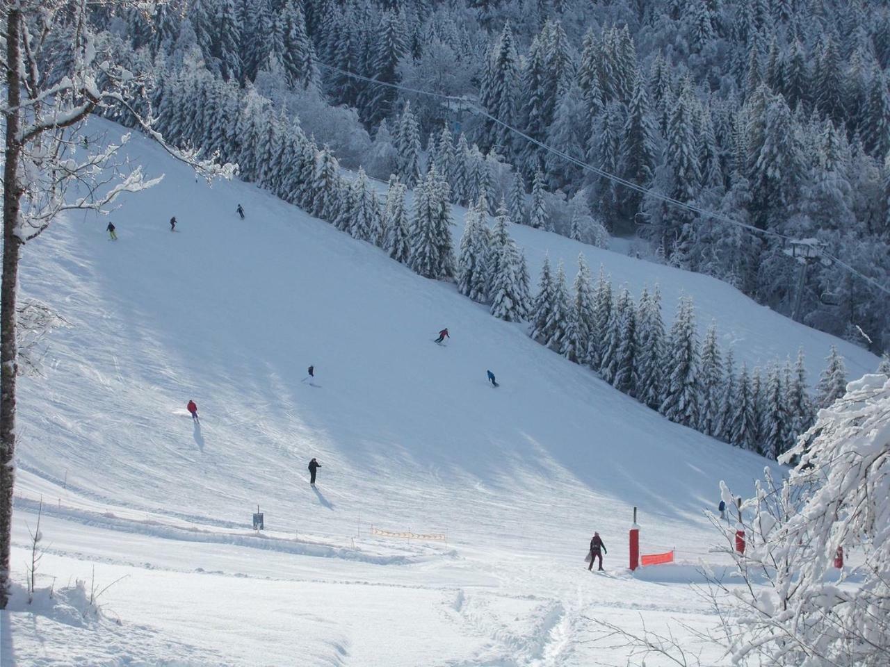 Chalet Jonquille Les Gets Kültér fotó