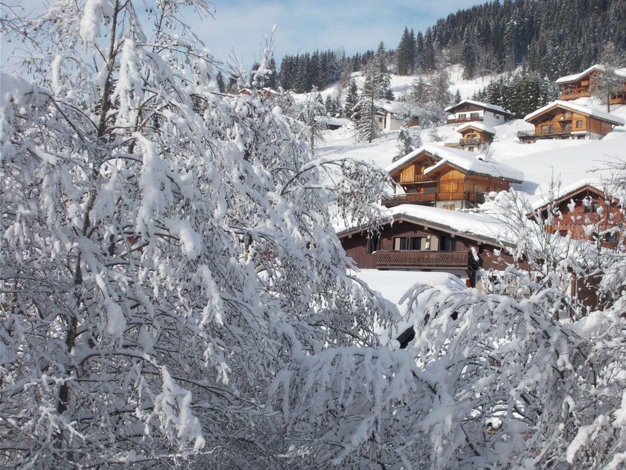 Chalet Jonquille Les Gets Kültér fotó